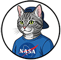 FosterDev Avatar